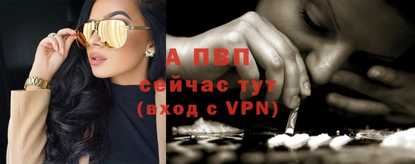 дживик Михайловск