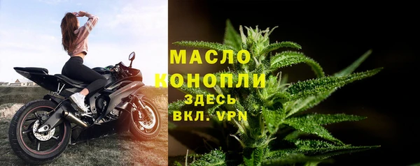 дживик Михайловск