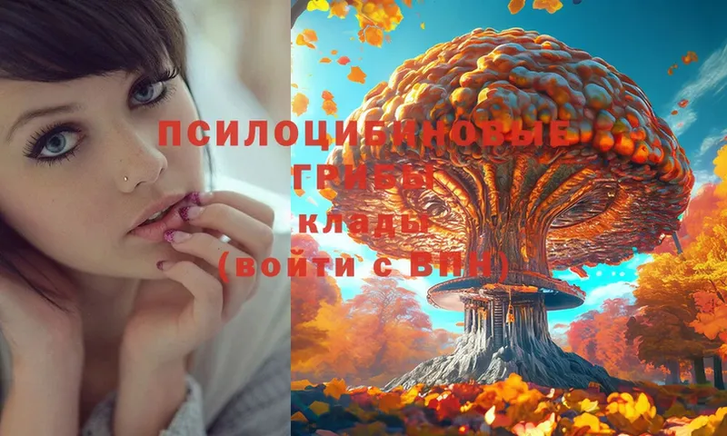 Псилоцибиновые грибы Psilocybe  Муром 